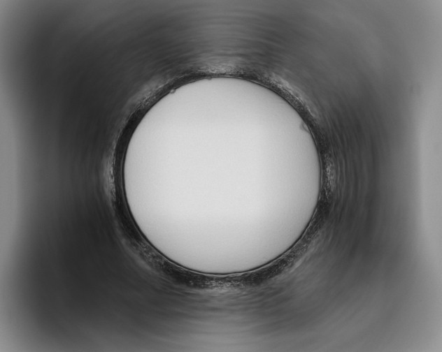 X0000096400682200802211204