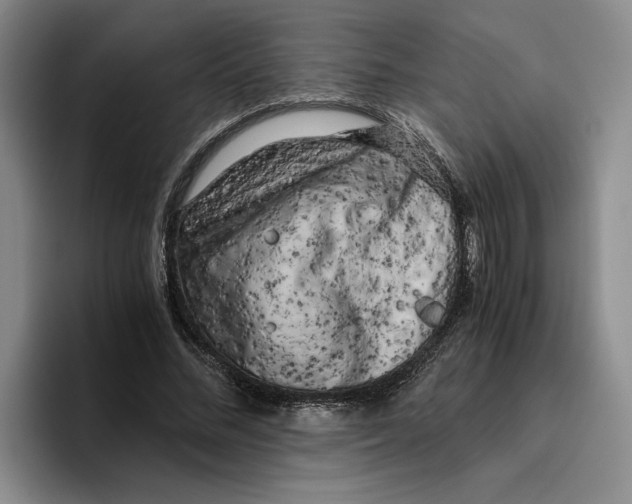 X0000096400684200802211204