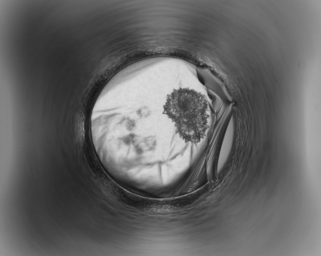 X0000096400685200802211204