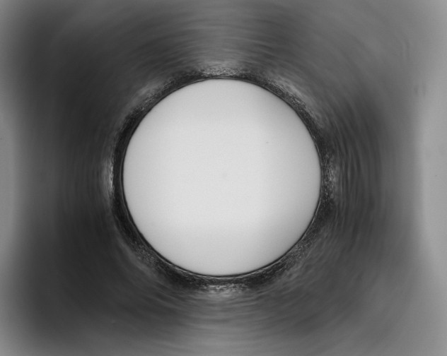 X0000096400686200802211204