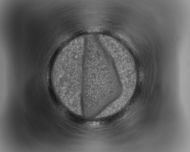 X0000096400687200802211204