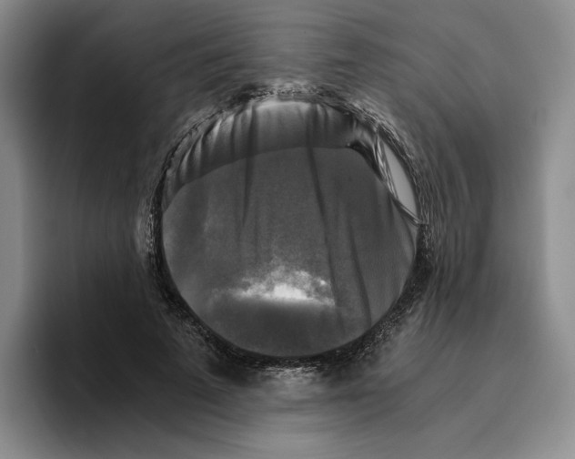 X0000096400689200802211204