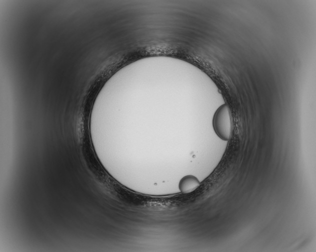 X0000096400690200802211204