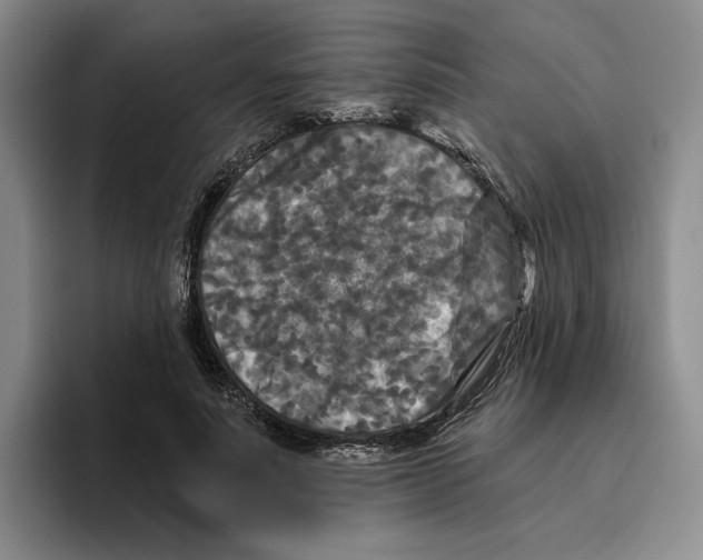 X0000096400691200802211204