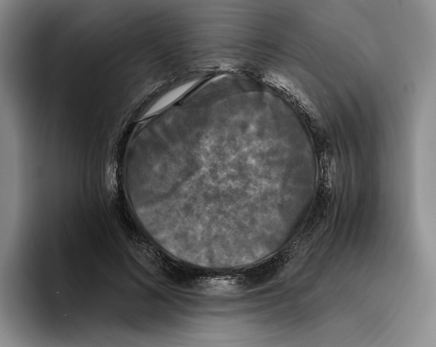 X0000096400692200802211204