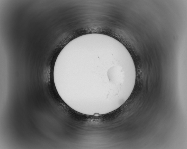 X0000096400694200802211204