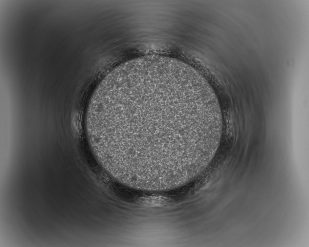 X0000096400695200802211204