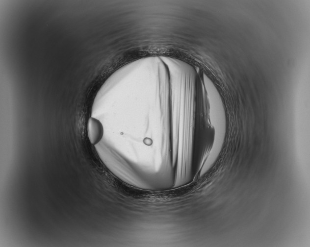 X0000096400697200802211204