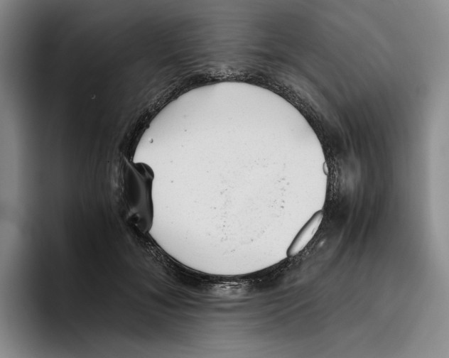 X0000096400700200802211204