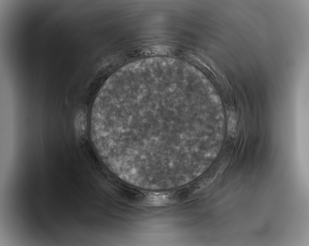 X0000096400701200802211204