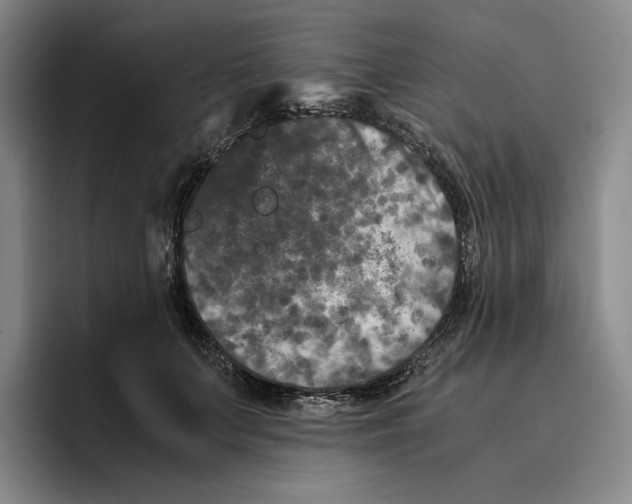 X0000096400703200802211204