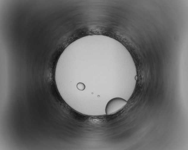 X0000096400706200802211204