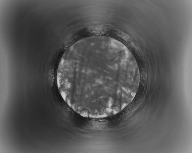 X0000096400707200802211204