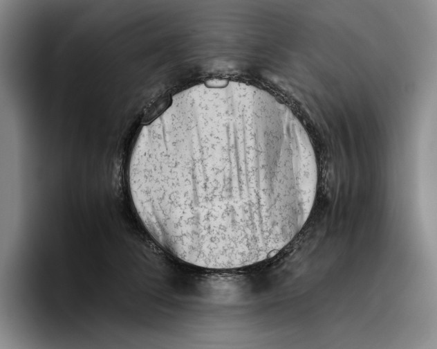 X0000096400708200802211203