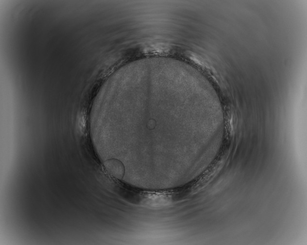 X0000096400709200802211203