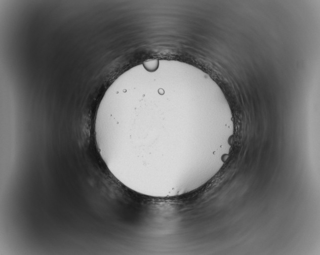 X0000096400710200802211203