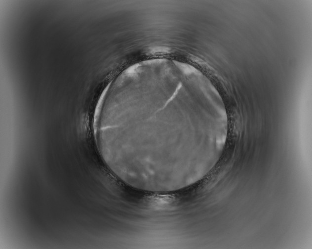 X0000096400711200802211203