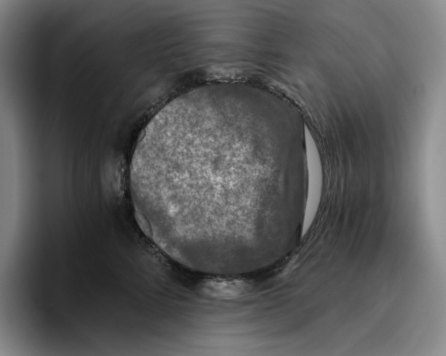 X0000096400712200802211203