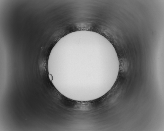 X0000096400713200802211203