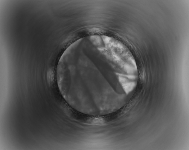 X0000096400715200802211203