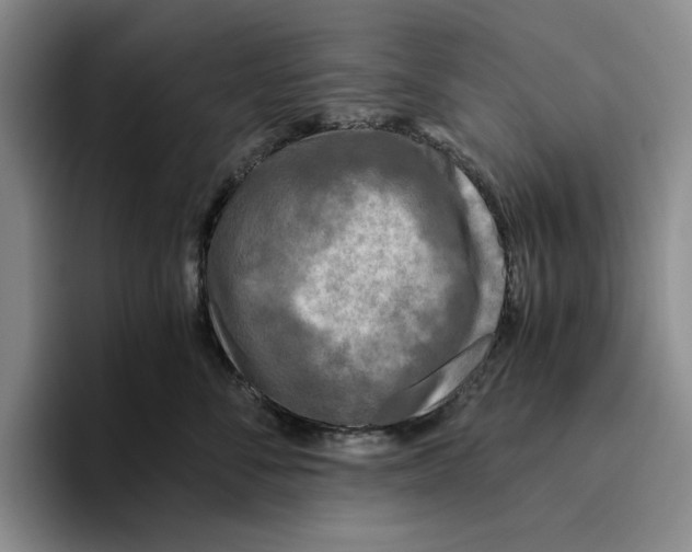 X0000096400716200802211203