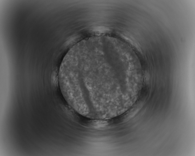 X0000096400719200802211203