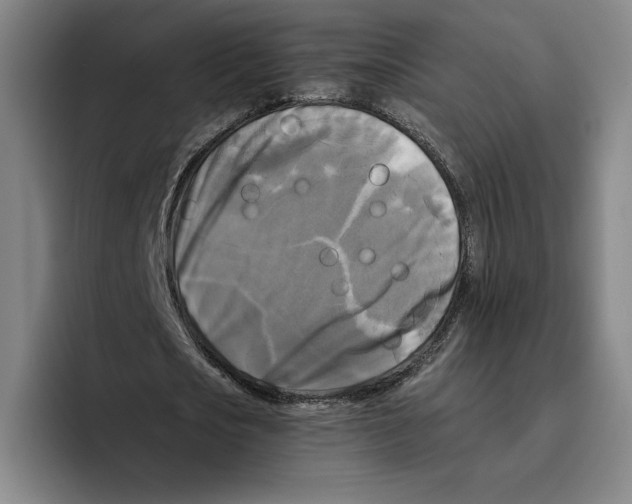 X0000096400721200802211203