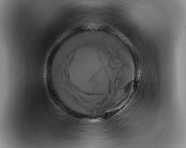 X0000096400722200802211203