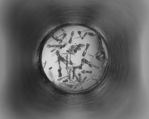 X0000096400723200802211203