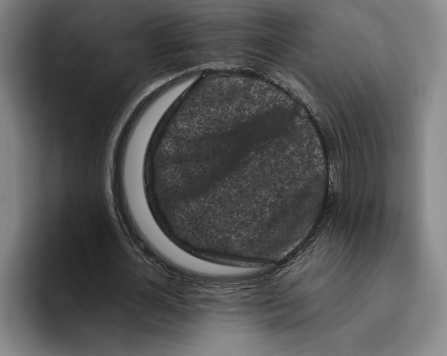 X0000096400724200802211203