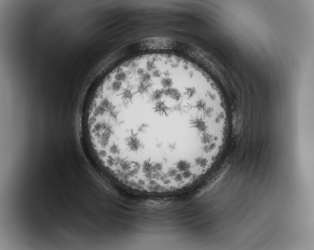 X0000096400725200802211203