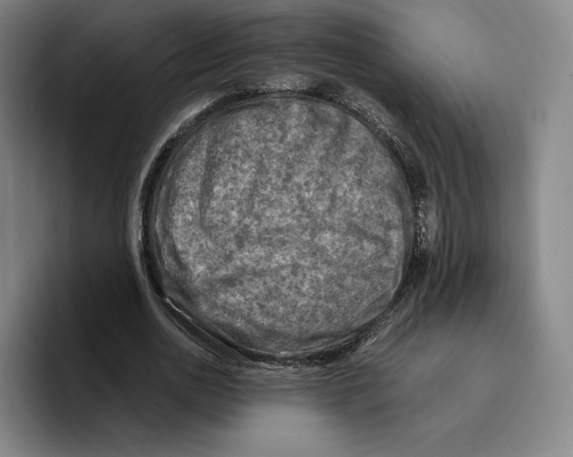 X0000096400726200802211203