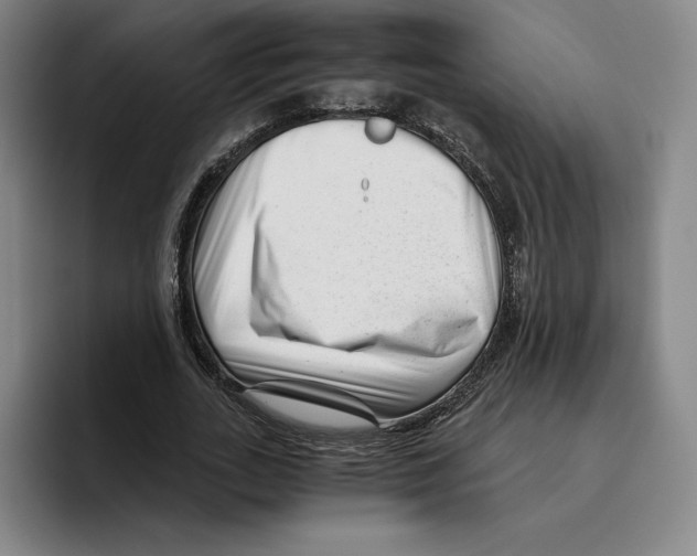 X0000096400727200802211203