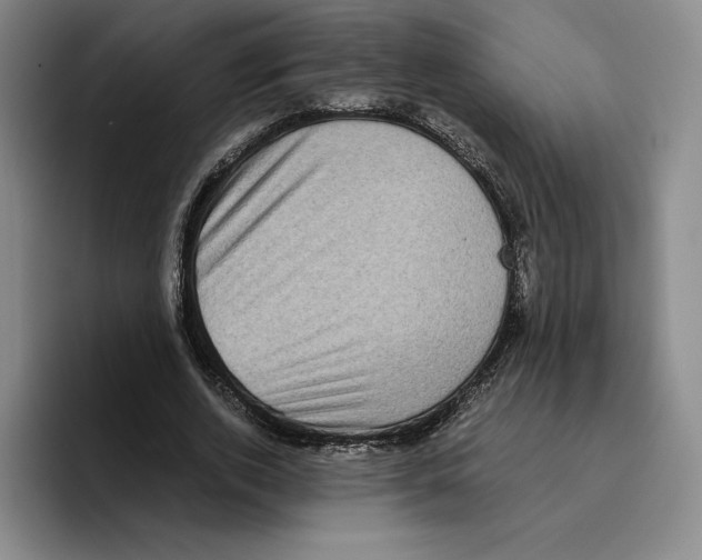 X0000096400728200802211203