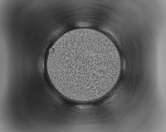 X0000096400733200802211203