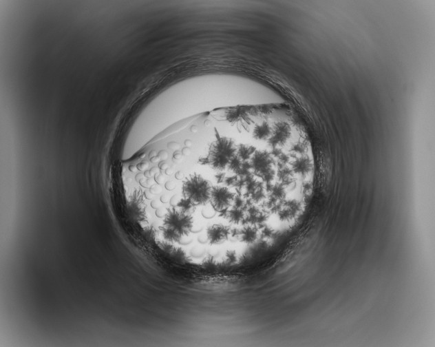X0000096400734200802211203