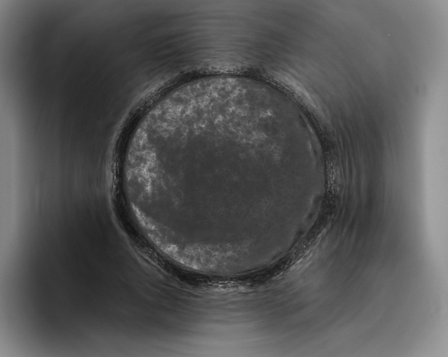 X0000096400736200802211203