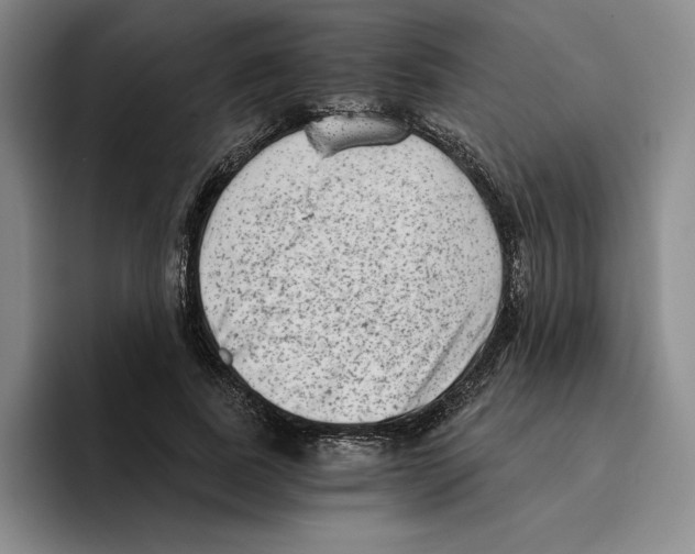 X0000096400739200802211203