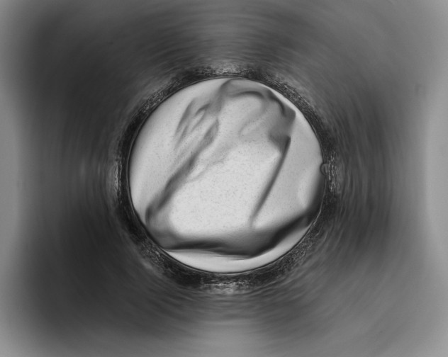 X0000096400740200802211203