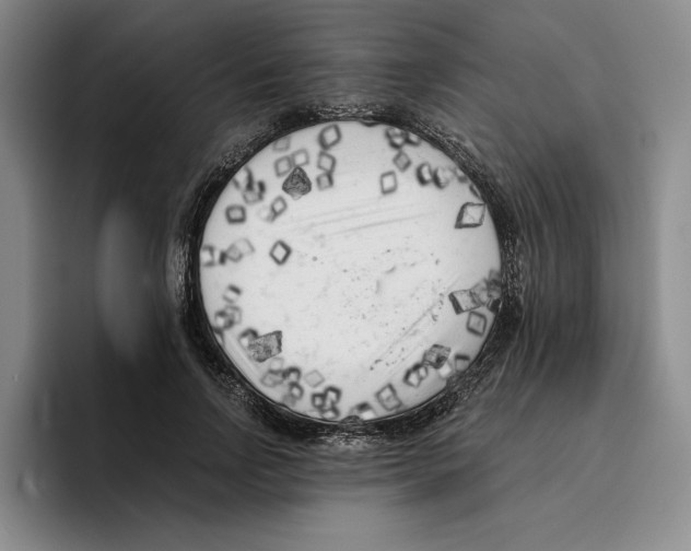 X0000096400742200802211203