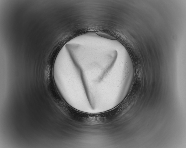 X0000096400744200802211203