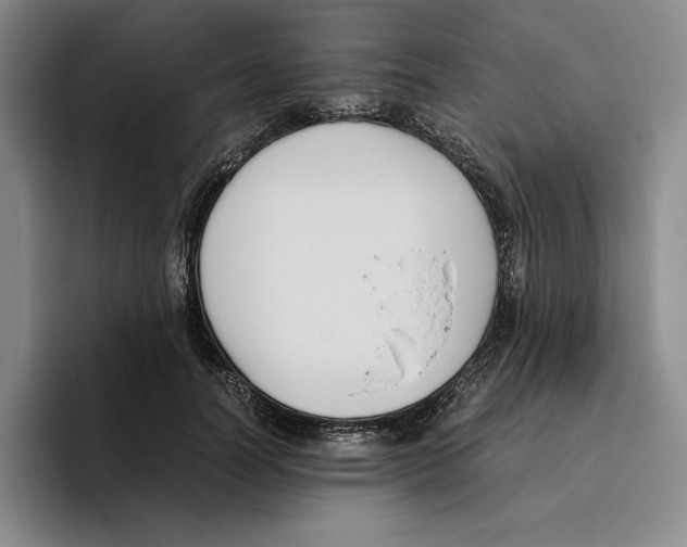 X0000096400746200802211203