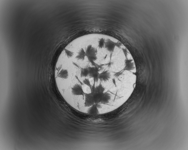 X0000096400747200802211203