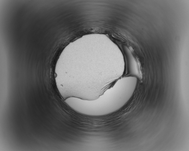 X0000096400748200802211203