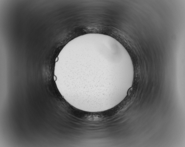 X0000096400751200802211203