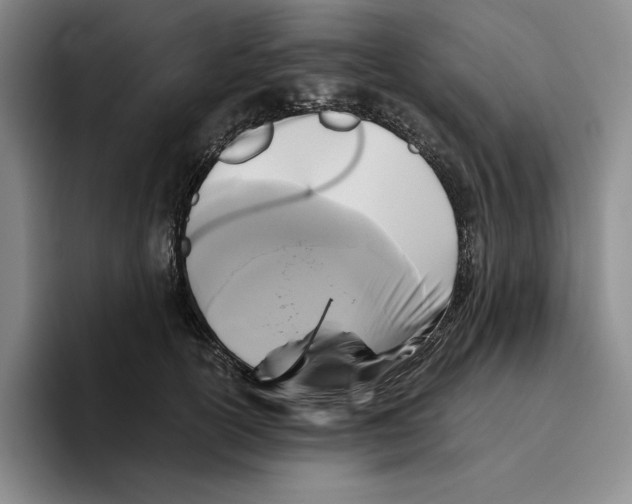 X0000096400754200802211203