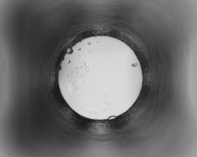 X0000096400756200802211203