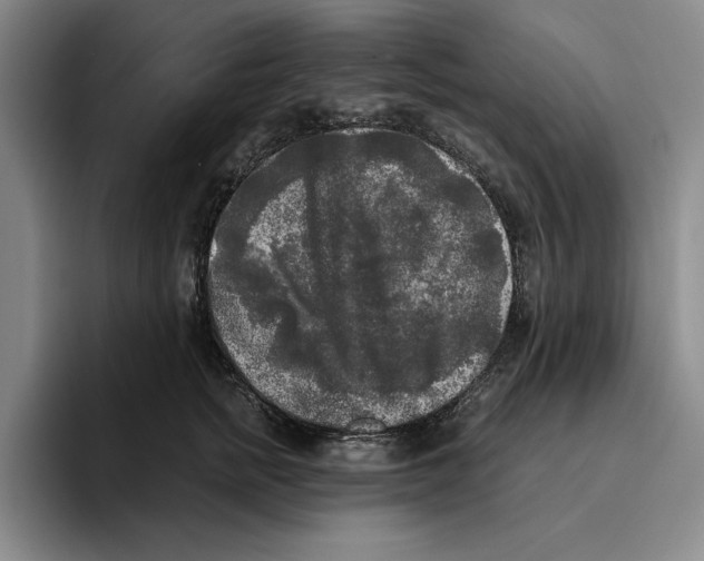 X0000096400758200802211203