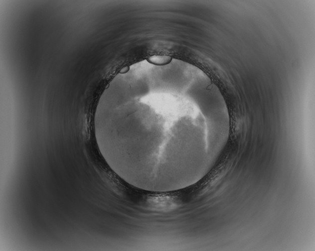 X0000096400759200802211203