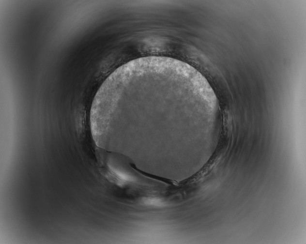 X0000096400760200802211203